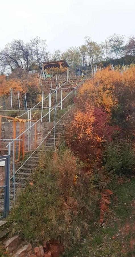 Appartement Weinberg 16